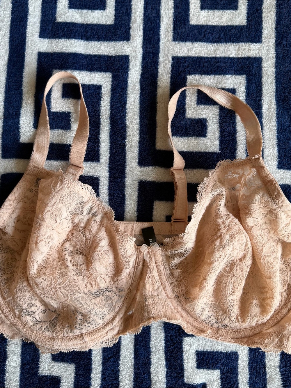 torrid Blush Pink Lace Underwire Bra